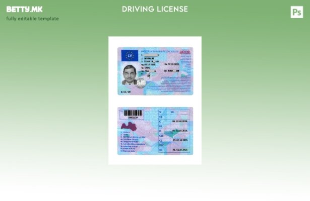 Модерен стил Latvia DL шаблон